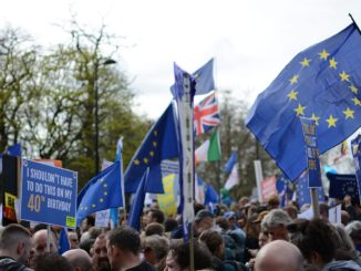 Flags and placards at the People's Vote march, London, 23 March 2019