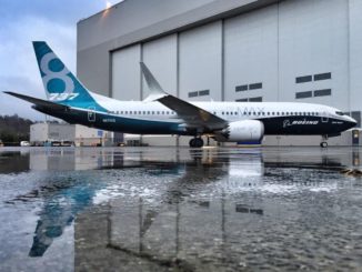 the photo of Boeing 737 MAX 8