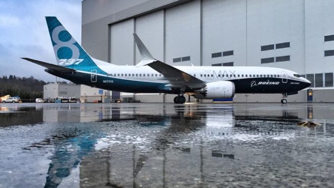 the photo of Boeing 737 MAX 8