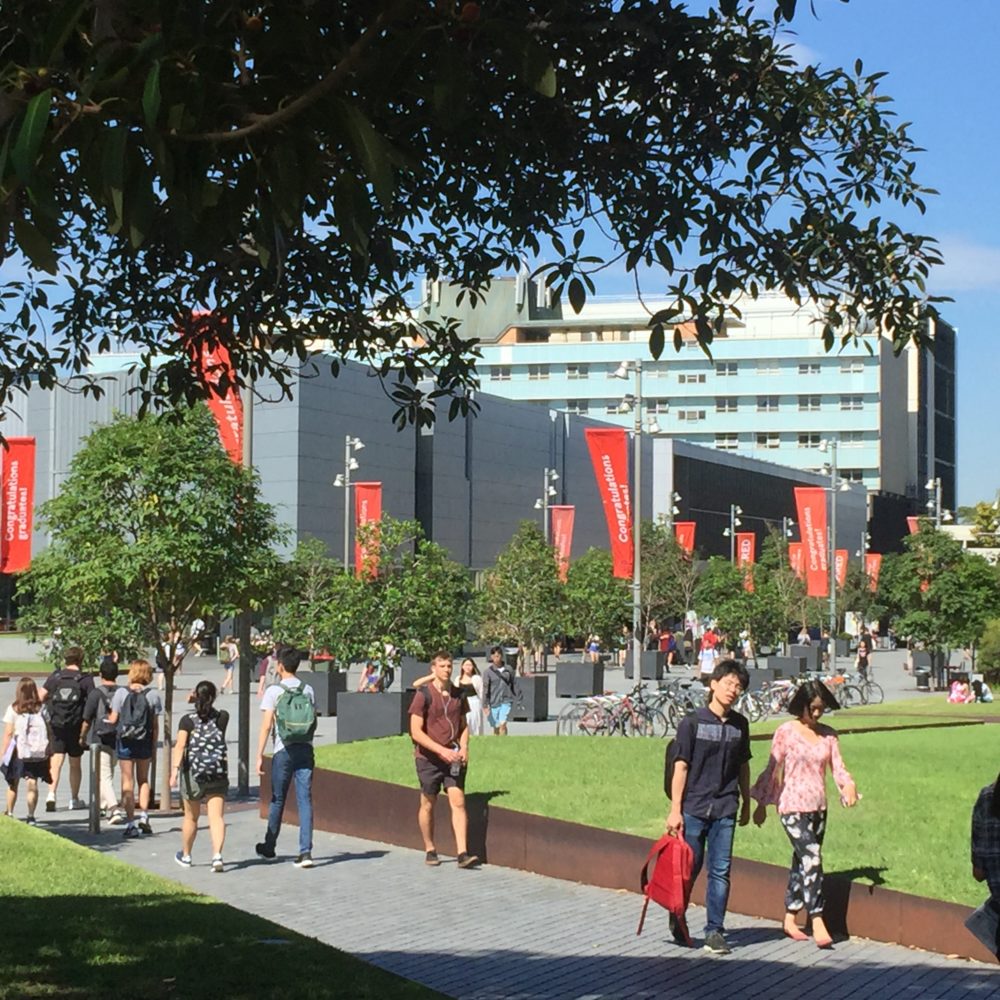 Students walking on campus