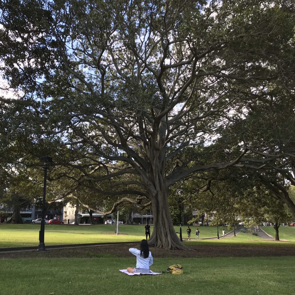 A yoga girl under the tree