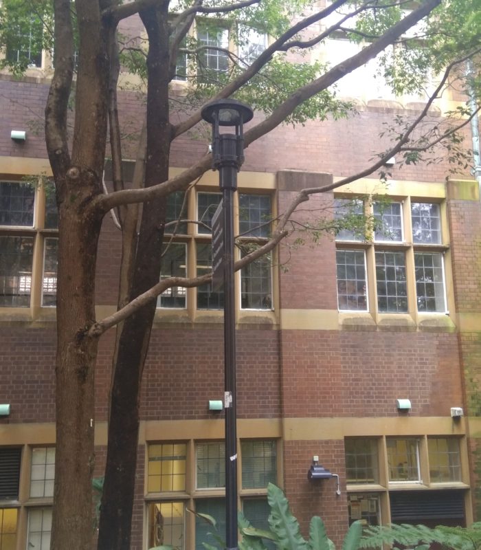 A street lamp near the John Woolley Building