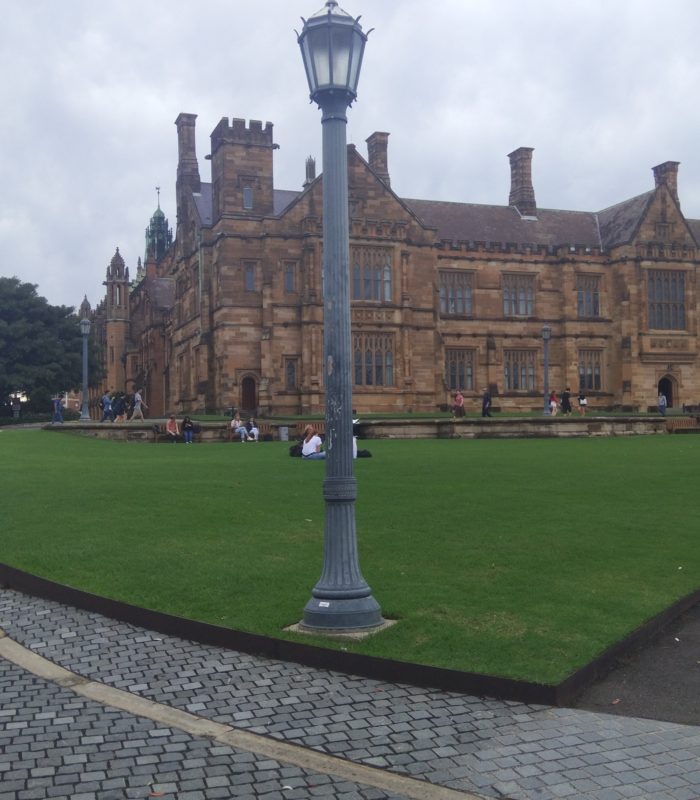 A grey street lamp on the grass in front of the Quadrangle