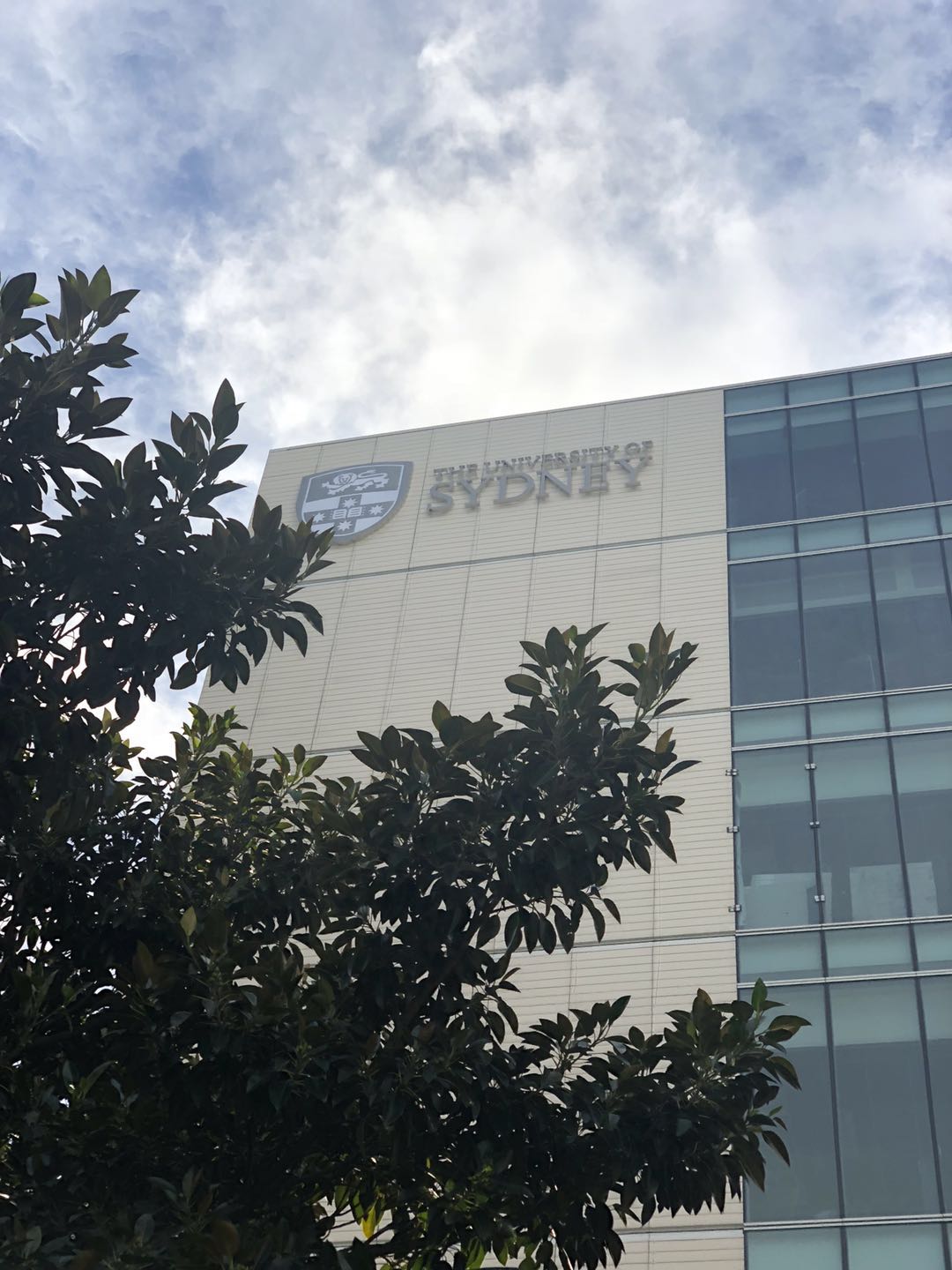 USYD logo Beside overpass