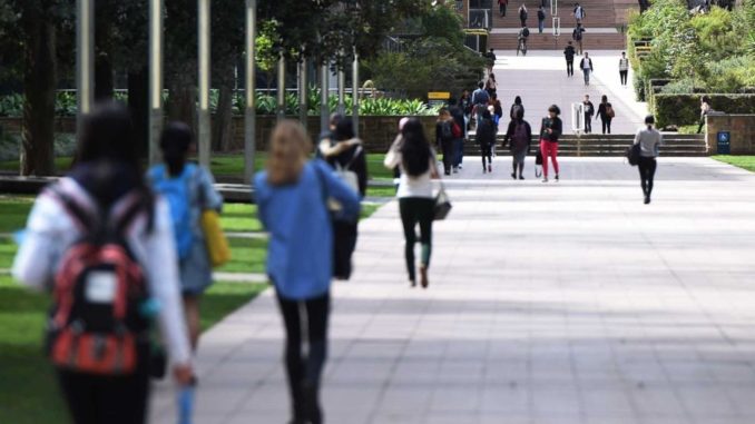 Students at the University of New South Wales walking in the campus.