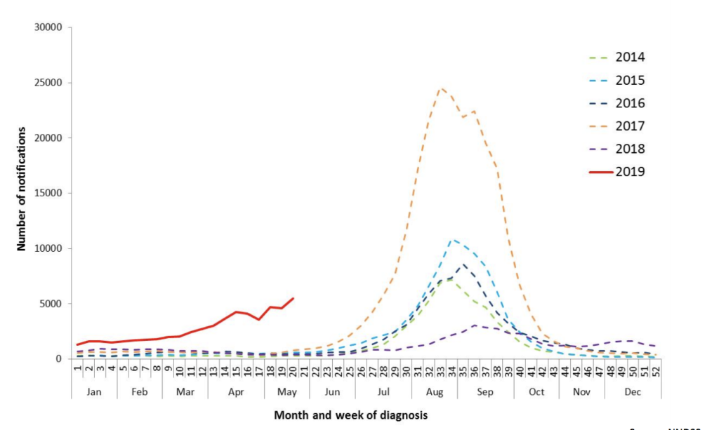 Australia is facing an unprecedented flu season, and this is what you