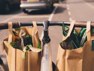 Two brown paper bags filled with plants hang from bicycle handlebars.