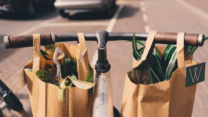 Two brown paper bags filled with plants hang from bicycle handlebars.