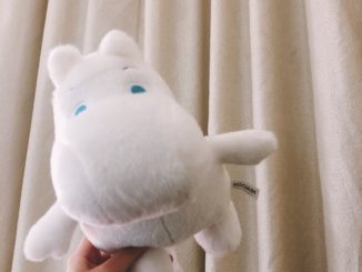 Bought from Moomin Store