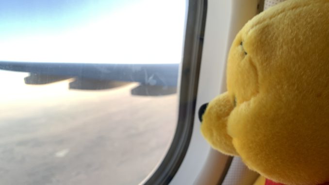 Winnie‘s landing