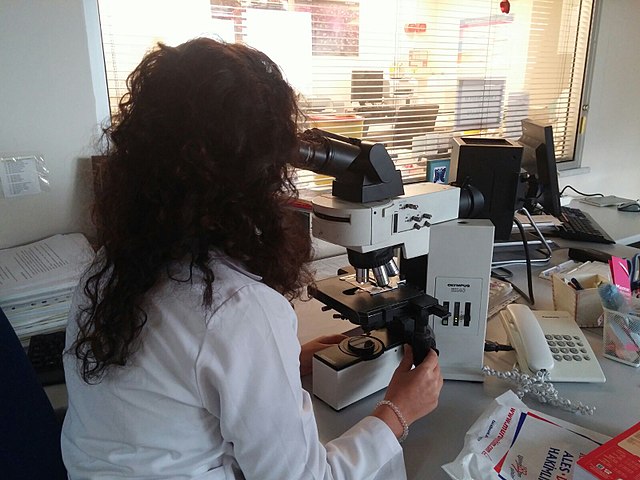 Pathologist looks into microscope