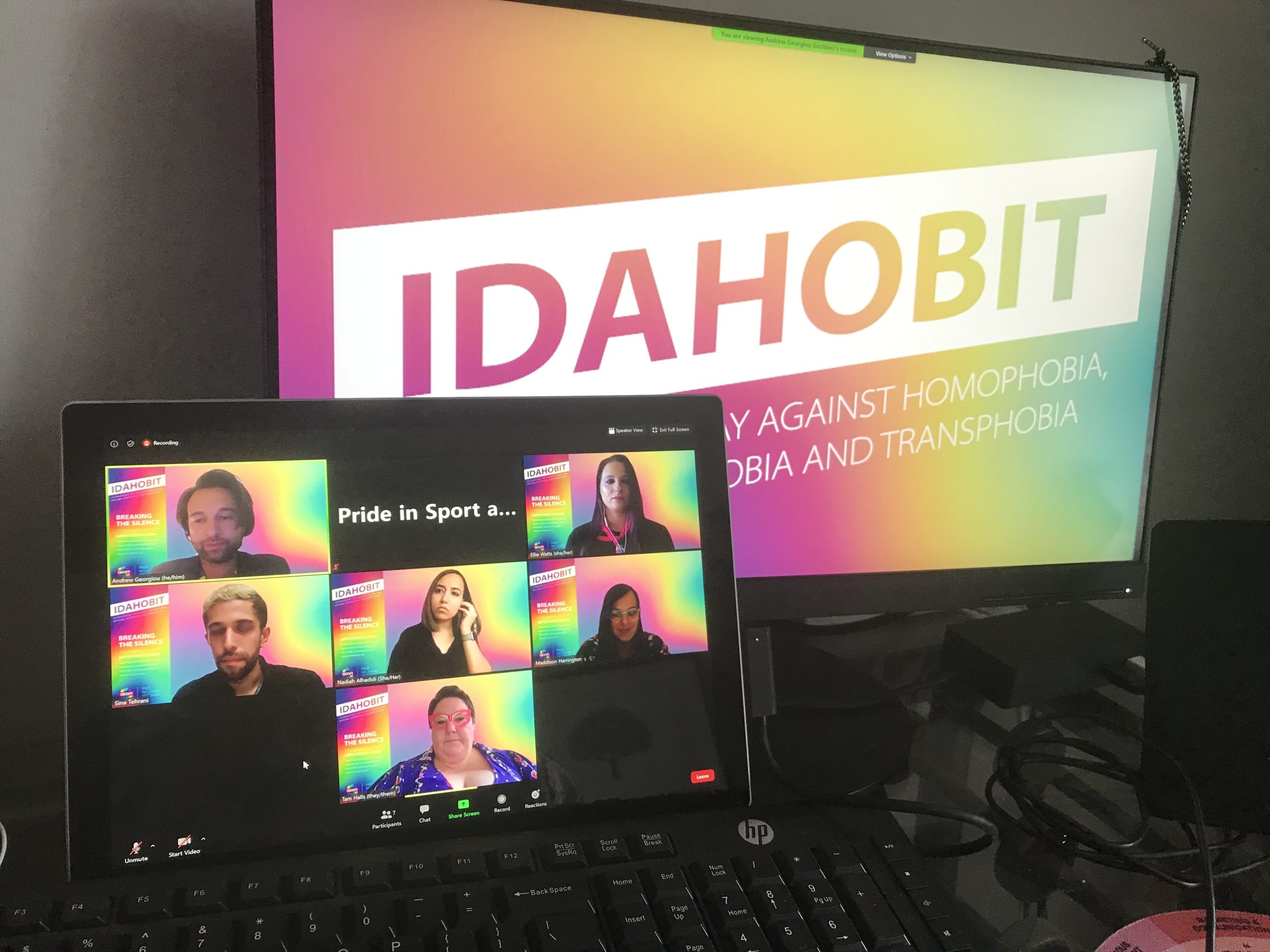 A view of the IDAHOBIT panel on Zoom