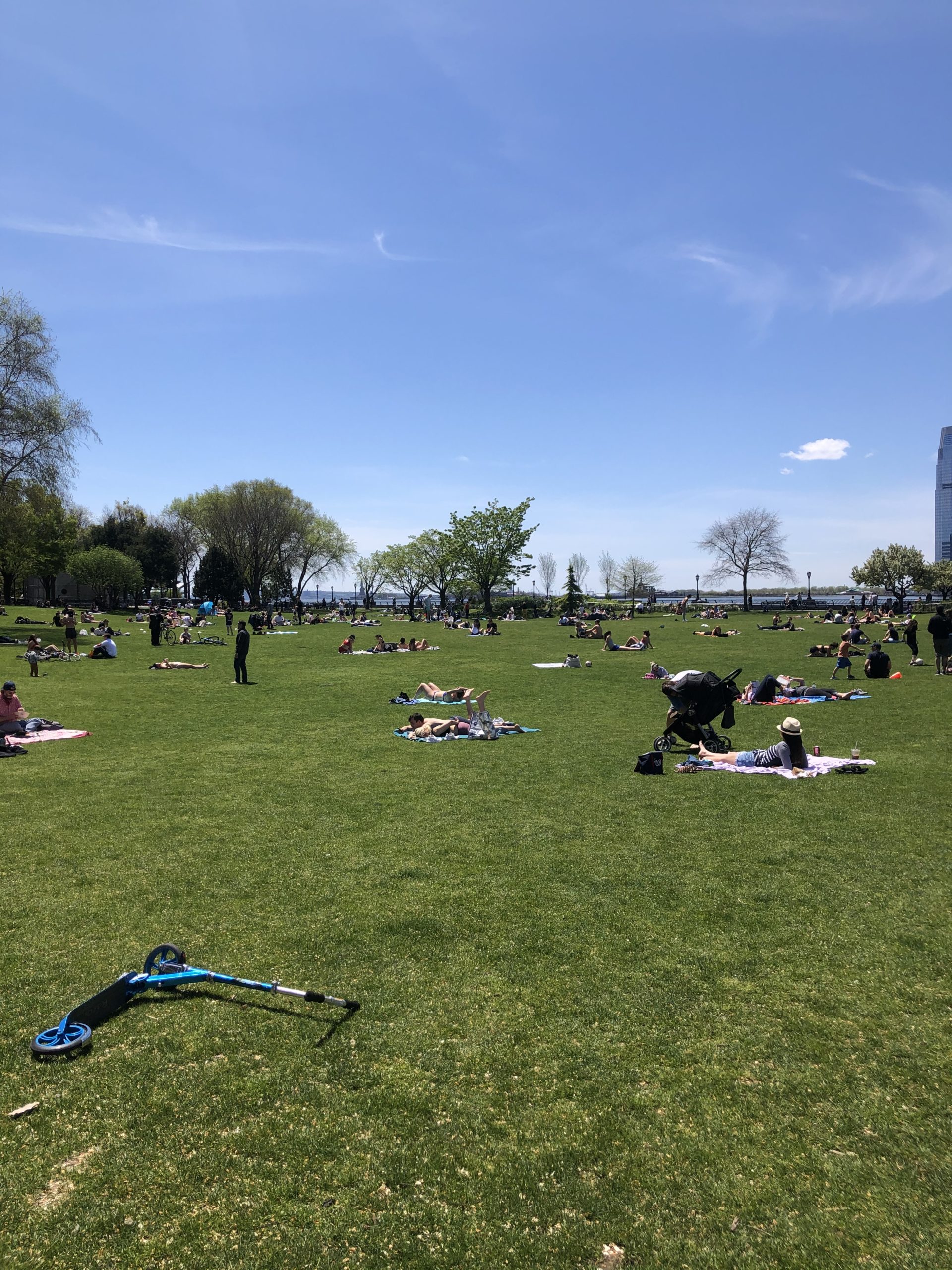 People sunbaking in a park