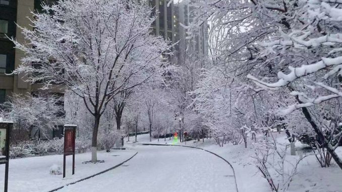 Beijing in coronavirus Snow in Beijing during coronavirus