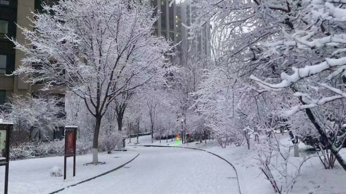 Snow in Beijing during coronavirus