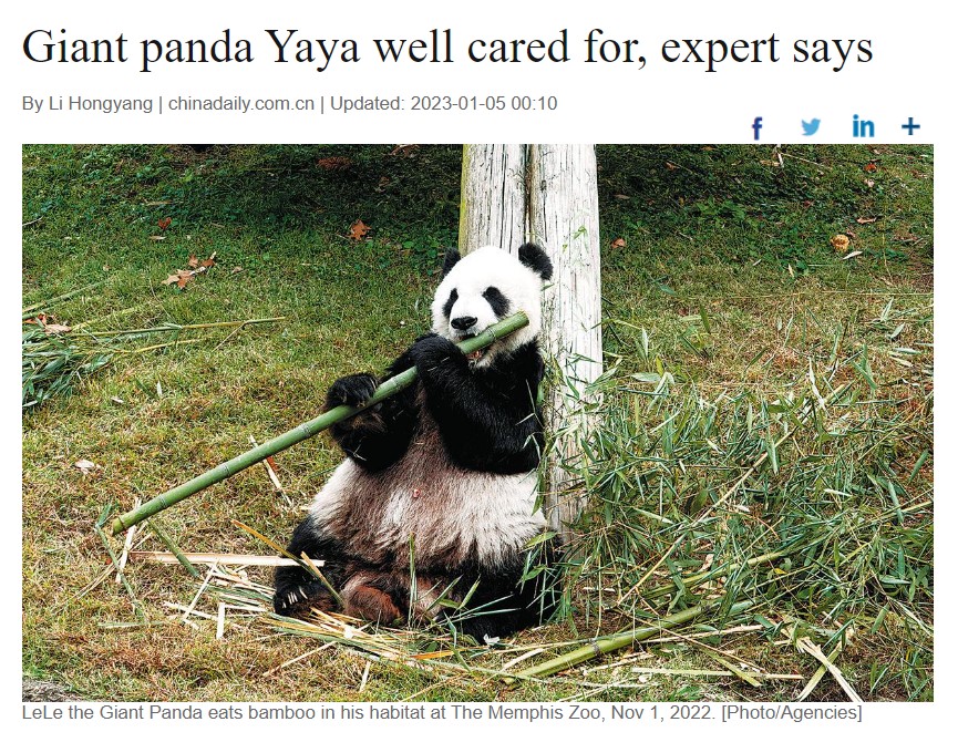 A screenshot from China Daily news