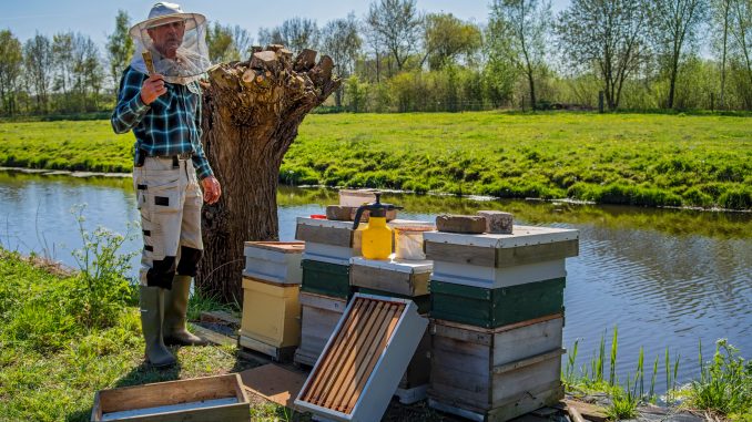 A beekeeper with his bees Credit: Unsplash