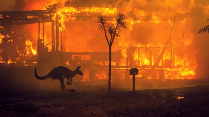 bushfire