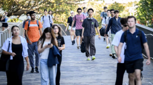 International students make up just 6 per cent of renters nationally and almost 40 per cent of them live in student housing, 2024 research from the Student Accommodation Council found.